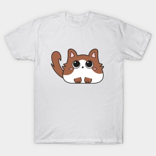 Cute brown and white kitten T-Shirt